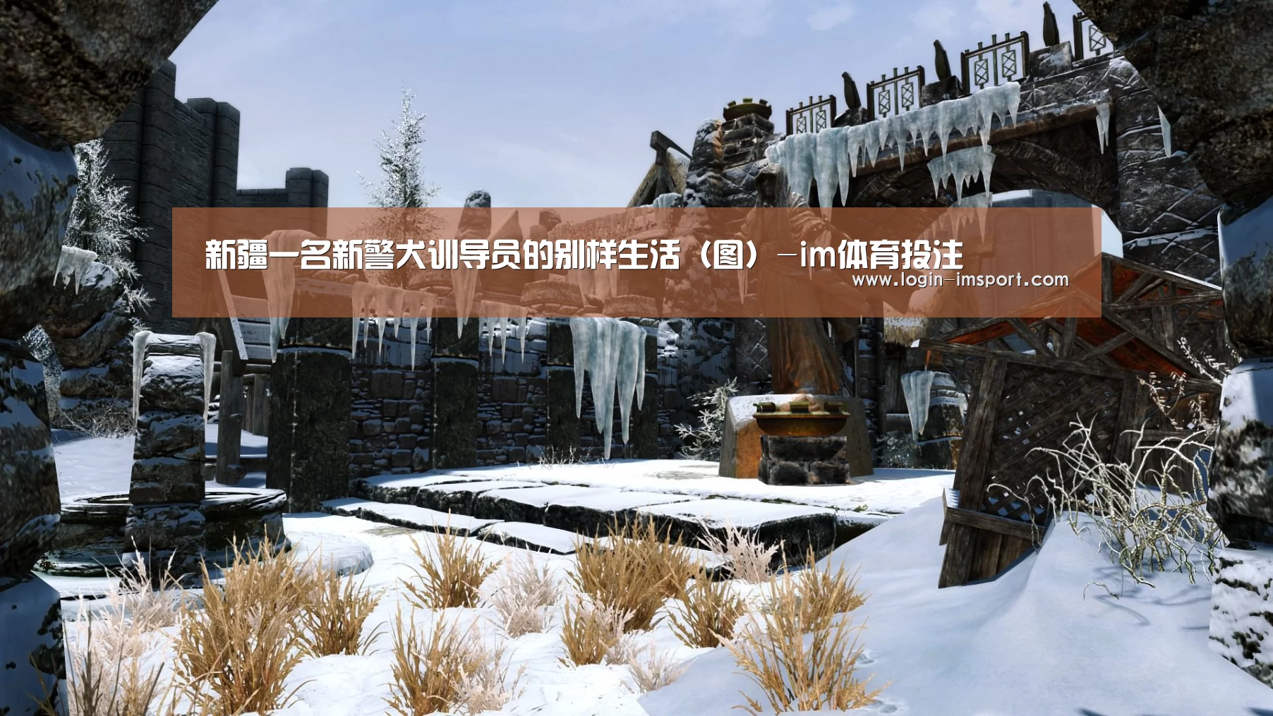im体育投注