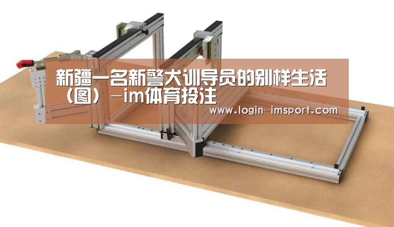 im体育投注