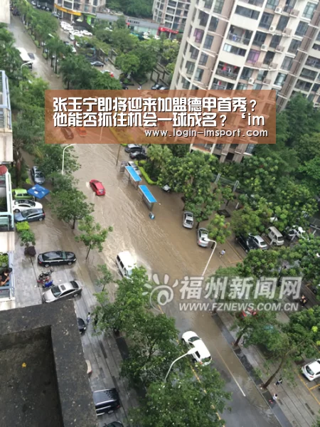张玉宁即将迎来加盟德甲首秀?他能否抓住机会一球成名?‘im体育投注’(图3) im体育
