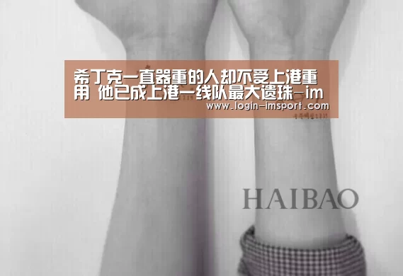 im体育
